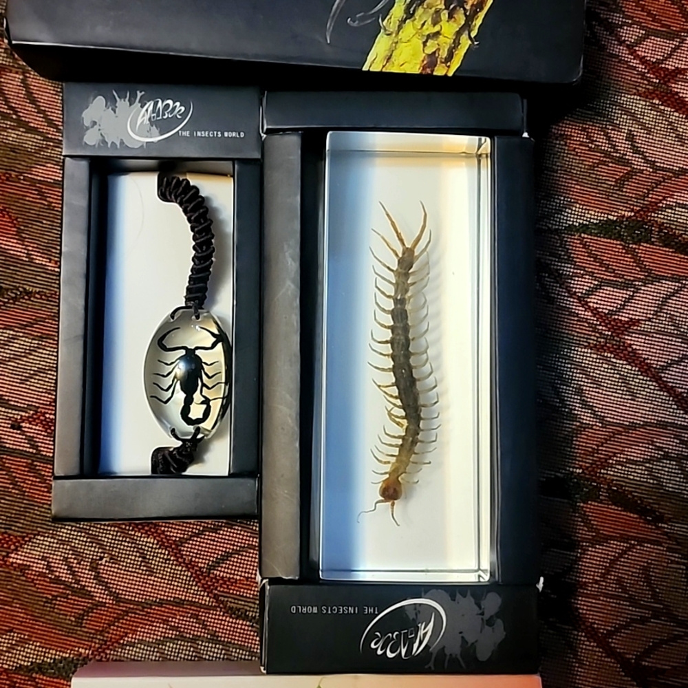 Scorpio centipede bracelet